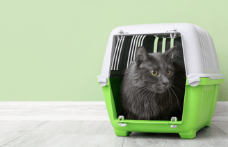 Cat carrier