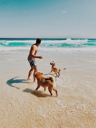 man playing ball with dogs at the beach