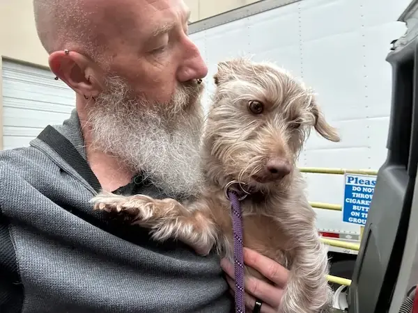 Pet Image