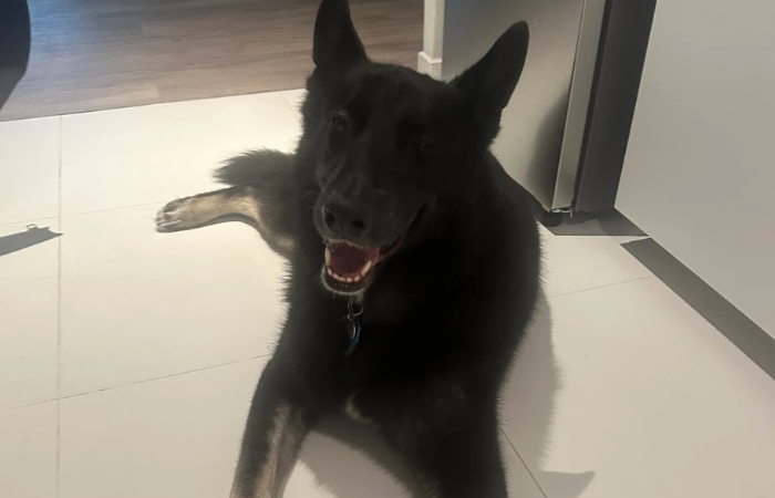 Dax