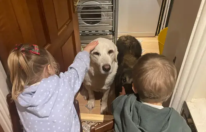 Tuck and Louisa