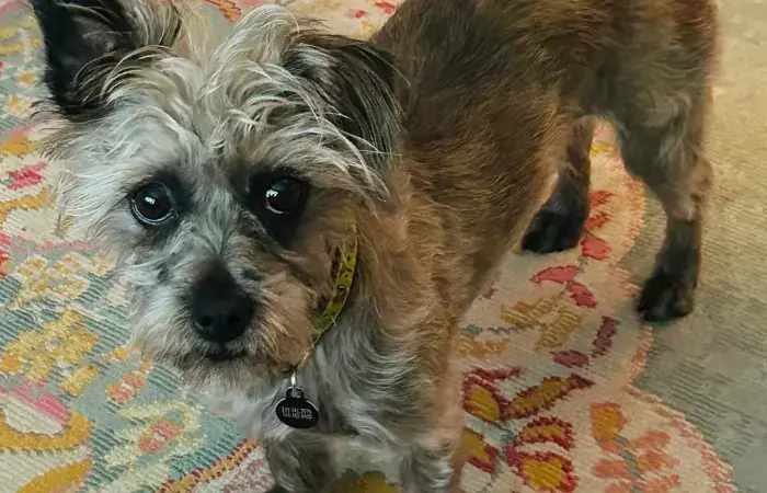 Sprout